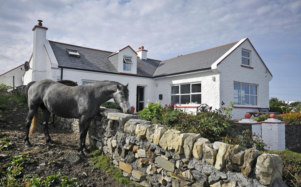 The Olde Castle B&B Renvyle Exterior photo